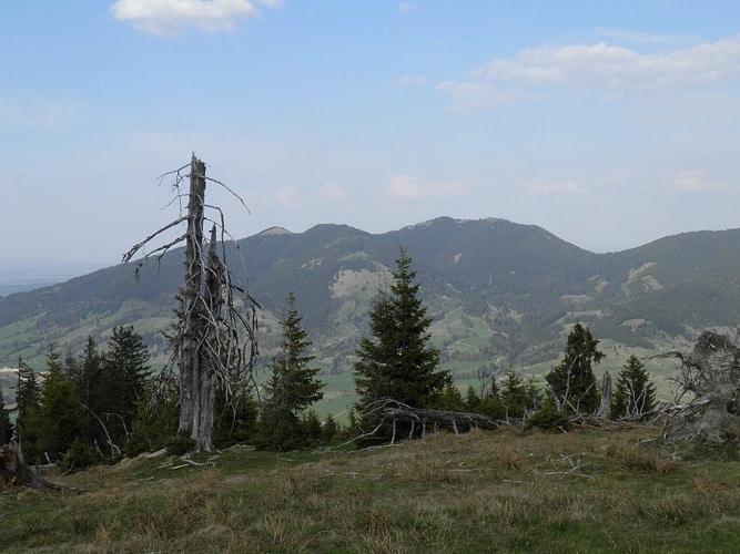 Gelassenheit auf stillen Wegen