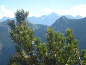 Zur Ruhe kommen mit Wandern